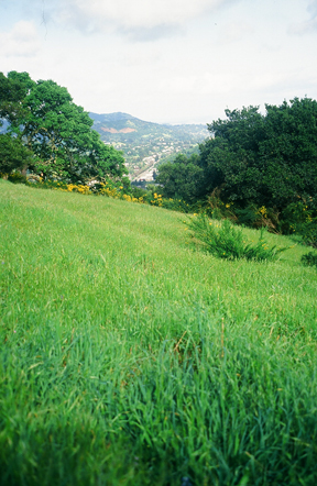 Bald Hill Ridge Preserve