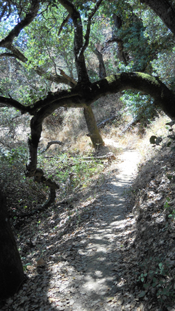 Faude Park Preserve