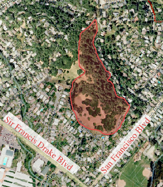 Faude Park Preserve
