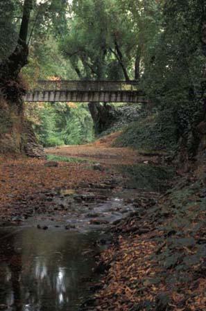 Friends of Corte Madera Creek Watershed