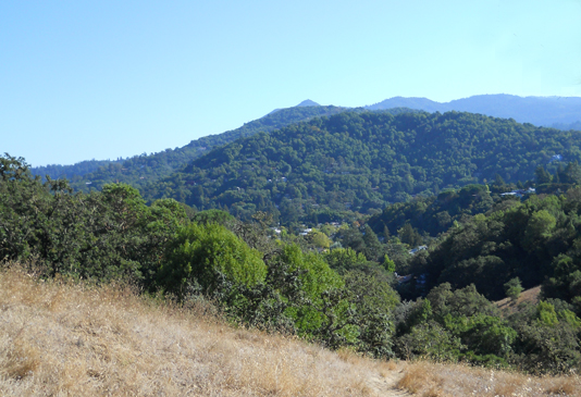 Hawthorn Canyon Preserve
