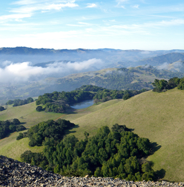 Marin Open Space Trust