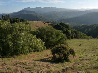 Kite Hill Preserve