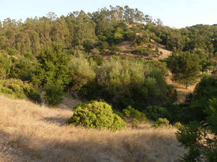 Sorich Park Preserve