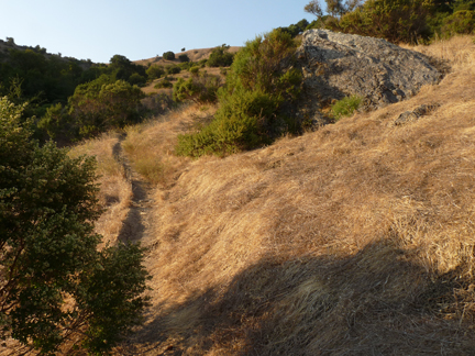 Sorich Park Preserve
