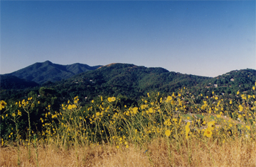 Bald Hill Ridge Preserve